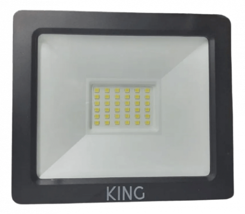 Proyector LED 30W IP65 – KING